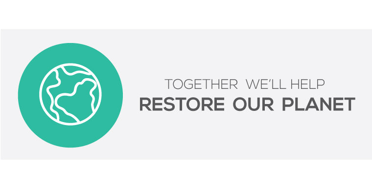 Succulents Box - Together we'll help restore earth environment