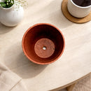 Reusable 2.5 x 2 bamboo pot for indoor gardening, Sustainable bamboo fiber succulent pot 2 inch with drainage hole for sale