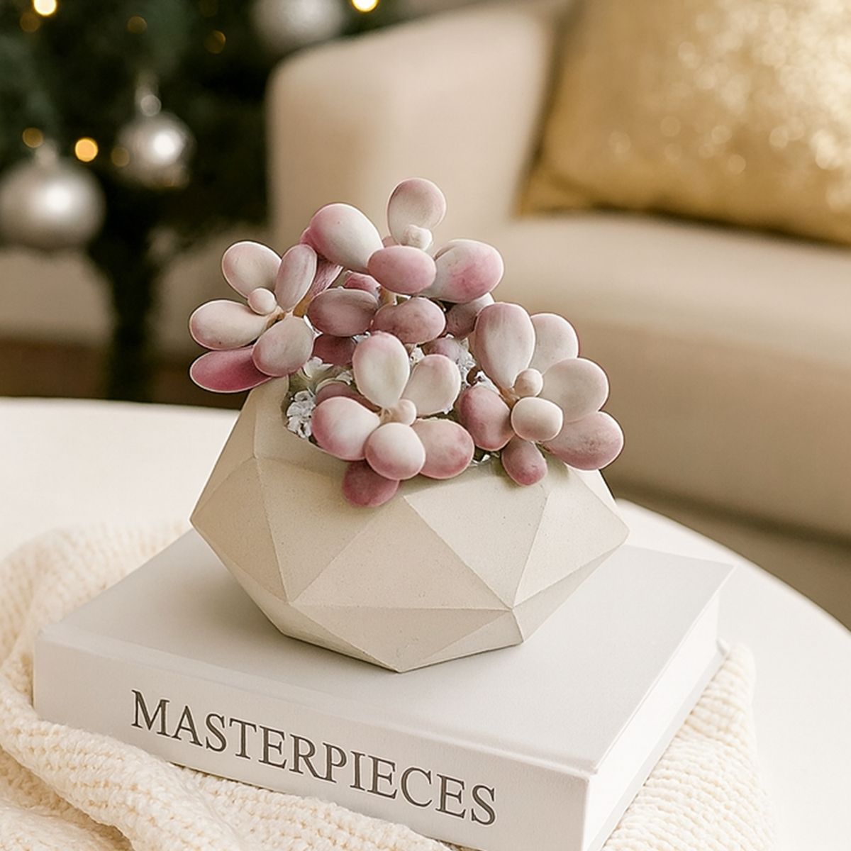 Pink Moonstone Succulent for Sale, Potted Moonstone Plant Gift Decor Ideas