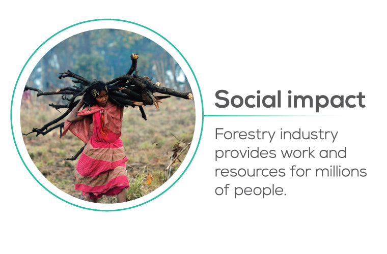 Planting trees impact to Social - forestry industry provides work and resources for millions of people