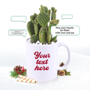 christmas cactus, thanksgiving cactus, how to care for a christmas cactus, thanksgiving cactus care, Christmas Cactus Thanksgiving Cactus for sale