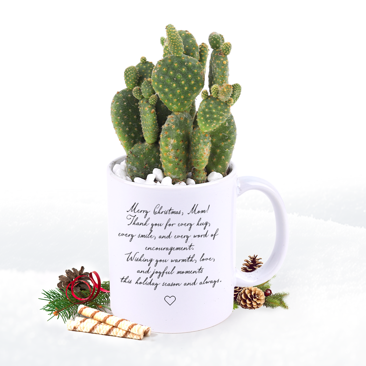 succulent words Personalized Plant Gift Set - Custom Ceramic Pot with 4-inch Succulent