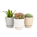 pot pack, pots in white, gray, and oatmeal color, modern pot for houseplants and succulents, minimalist pot with drainage hole and saucer