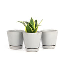 gray ceramic pot pack for sale, modern ceramic pot for houseplants and succulents, minimalist pot with drainage hole and saucer, plant pot gift ideas