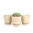 Oatmeal color pot pack, modern pot for houseplants and succulents, minimalist pot with drainage hole and saucer