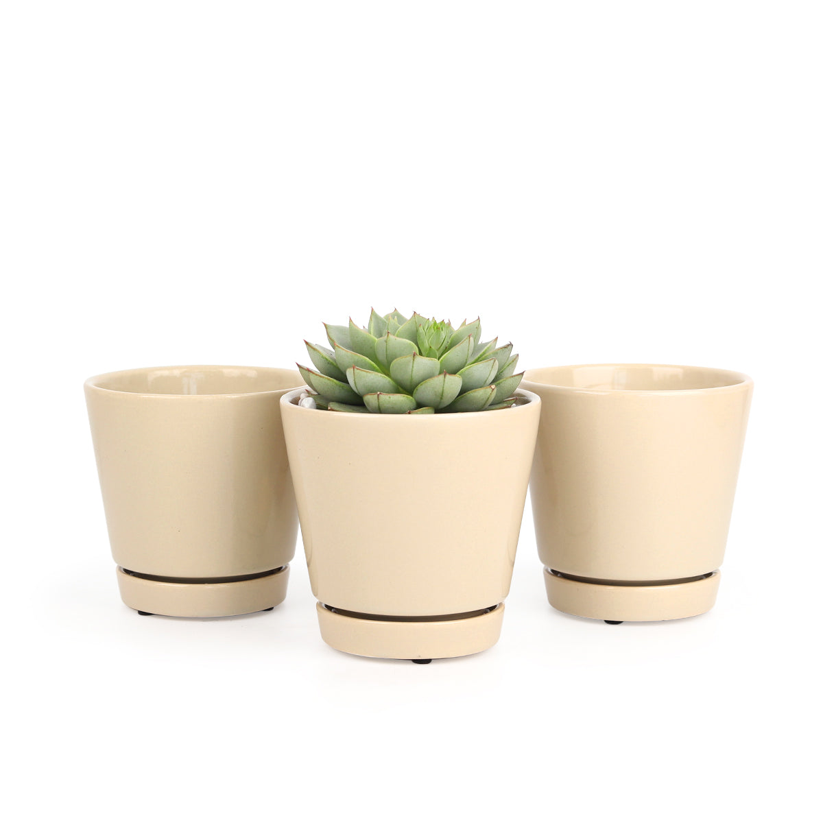 Oatmeal color pot pack, modern pot for houseplants and succulents, minimalist pot with drainage hole and saucer
