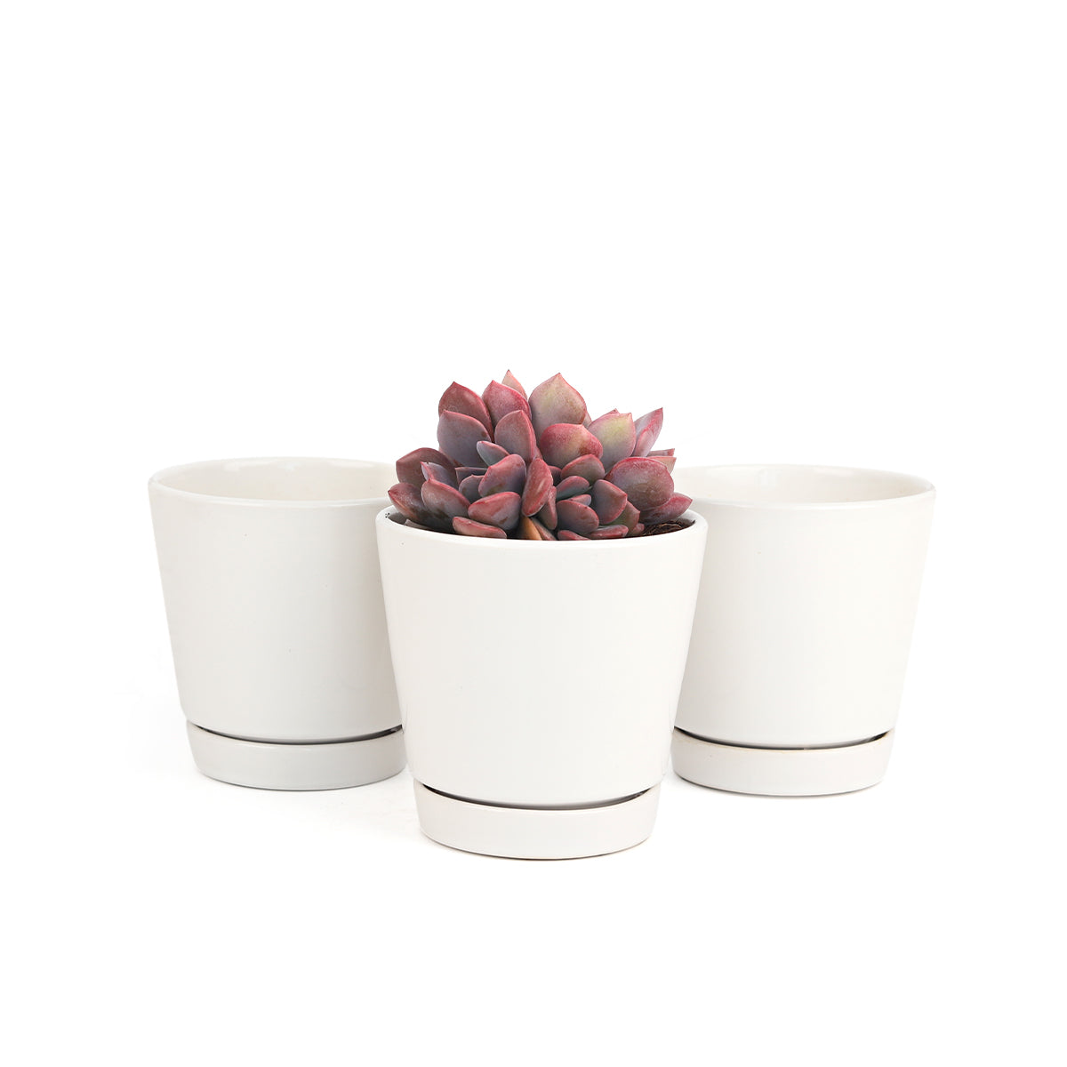 ornamental plant pot Pack of 3 White Minimalist Ceramic Pots, Buy Decorative Plant Pot Online