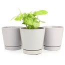 6 inch Gray Minimalist Pots with Saucer, 6 inch grey ceramic pot with drainage hole, 6 inch indoor pots, minimalist pots for home decoration