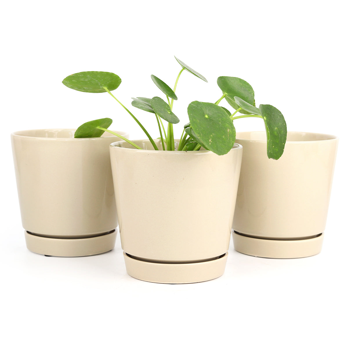 6 inch minimal pot, houseplant pot, houseplant pot for sale, buy houseplant pot online, ceramic plant pot, ceramic planter with saucer, set of 3 planter, pack of 3 plant pot for houseplants