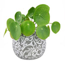 6 inch Hayden Ceramic Planter, Carved Pattern Planter, Ceramic Planter, Large Ceramic Pot