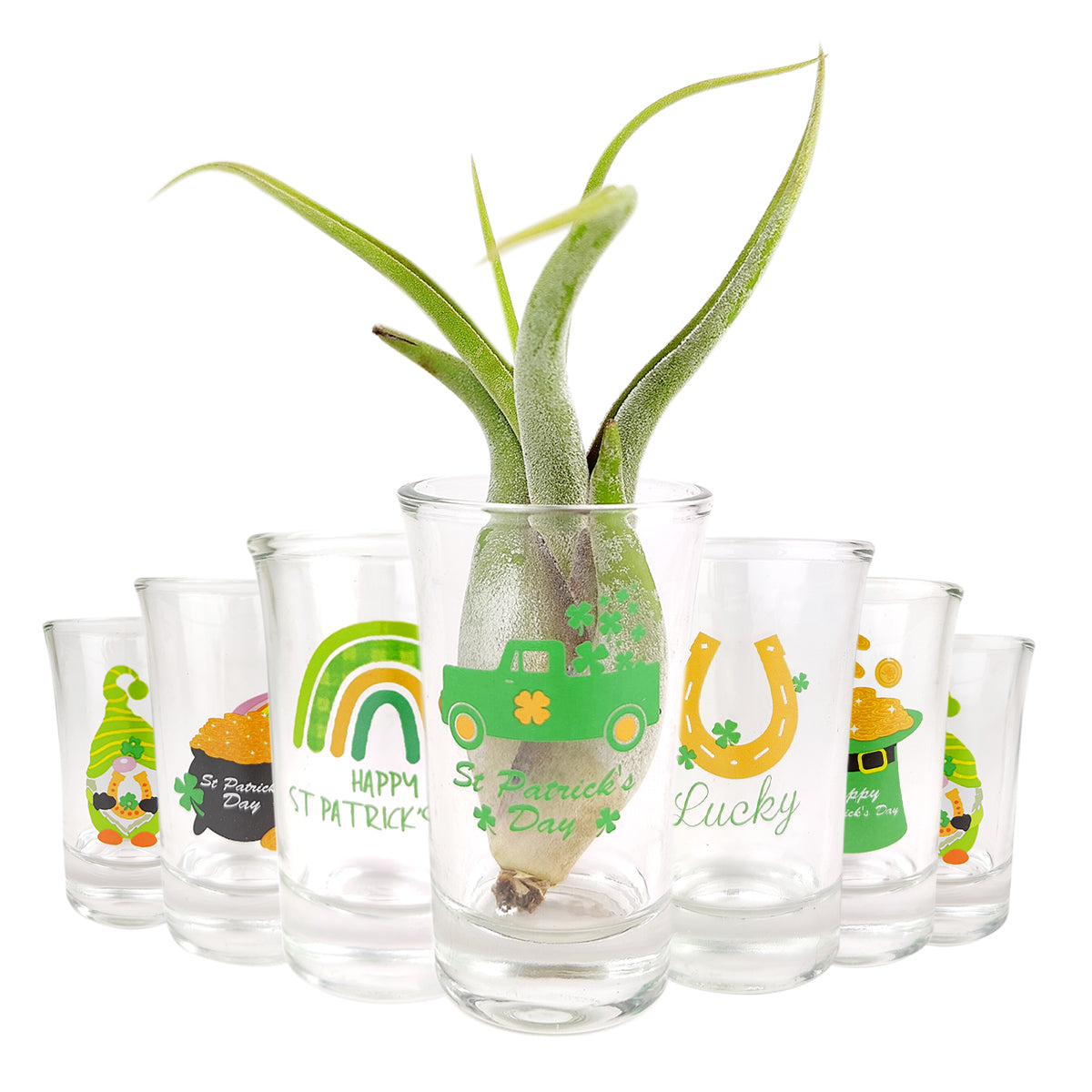 St. Patrick's Day Airplant Holder, glass air plant holder, mini airplant holder