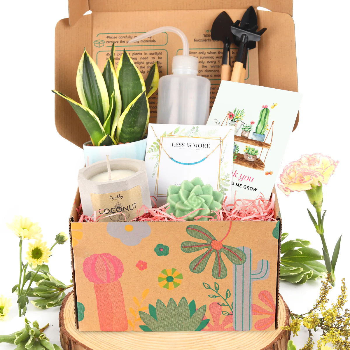 Premium Houseplant Gift Box, Premium Houseplant Gift Box for sale, buy Premium Houseplant Gift Box online, gift box with greeting card