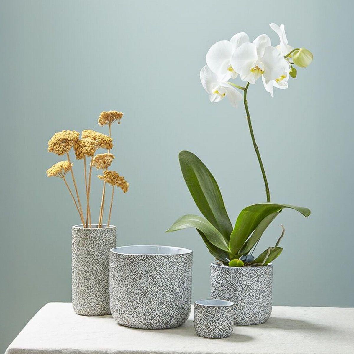 Geometric Floral Pot 3 inch for sale, Buy Succulent Pots Online, Decorative Ceramic Plant Pot for Home Decoration