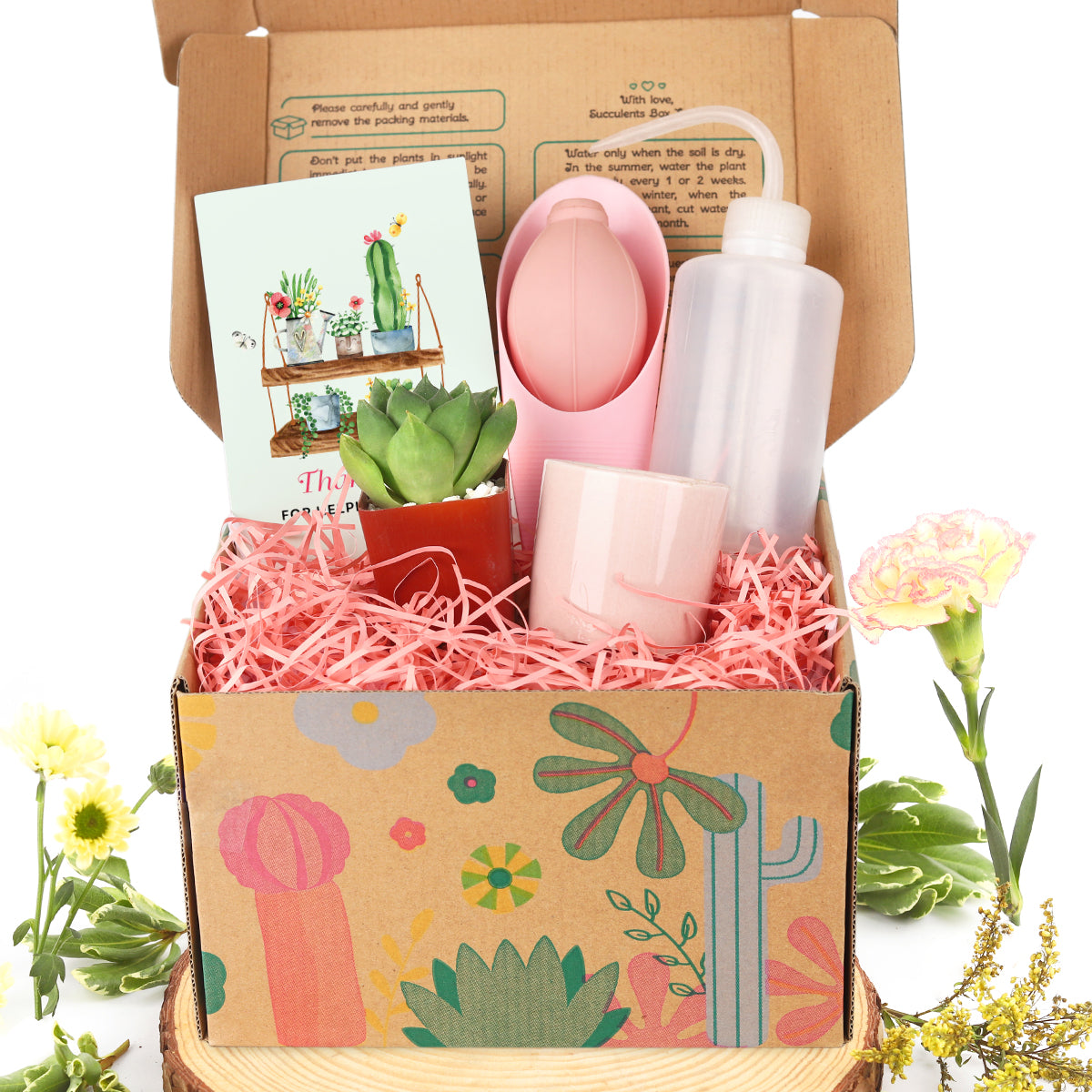succulent garden starter kit Succulent Beginner Kit Gift Box, Unique Women Gift Ideas