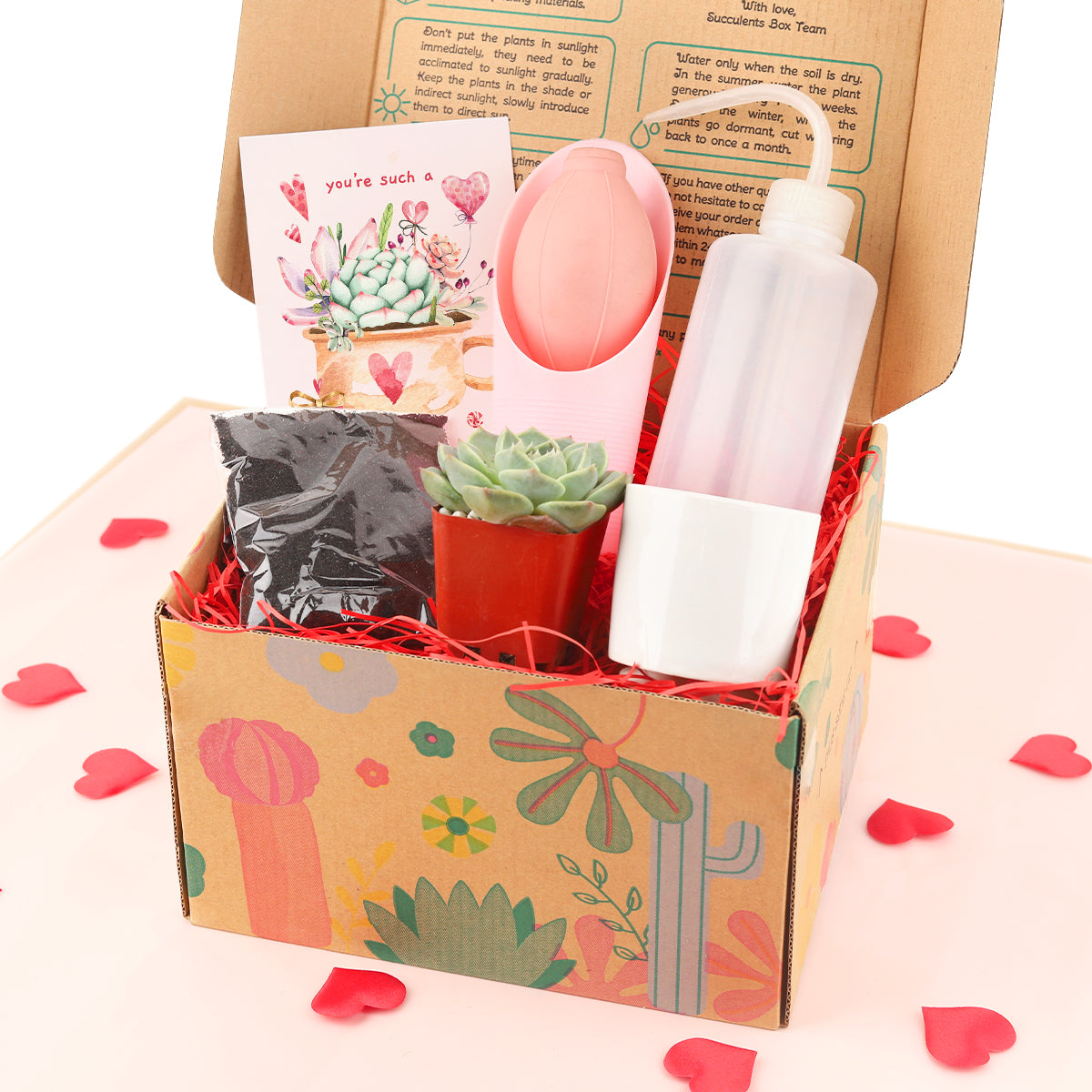 best valentine&#39;s present for boyfriend, first valentine gift for boyfriend, valentines for him 2025