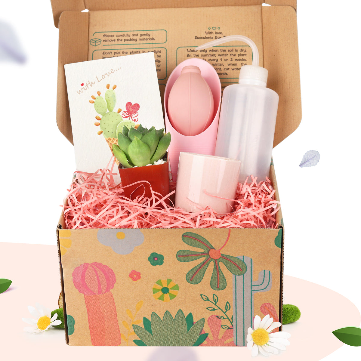 succulent kit gift Succulent Beginner Kit Gift Box, Unique Women Gift Ideas