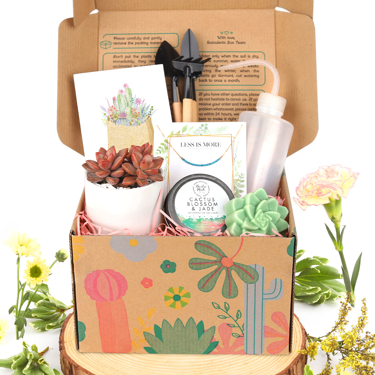 Premium Succulent Gift Box for sale, Mother's Day Gift Ideas, Buy Unique Plant Gift for Mom