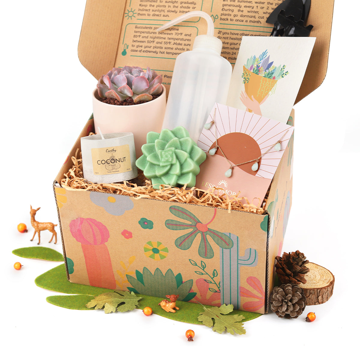 Premium Succulent Gift Box Perfect for Women, Unique Birthday Gift for Girlfriend, Best Place to Buy Succulent Gift Box for Any Occasion 2025