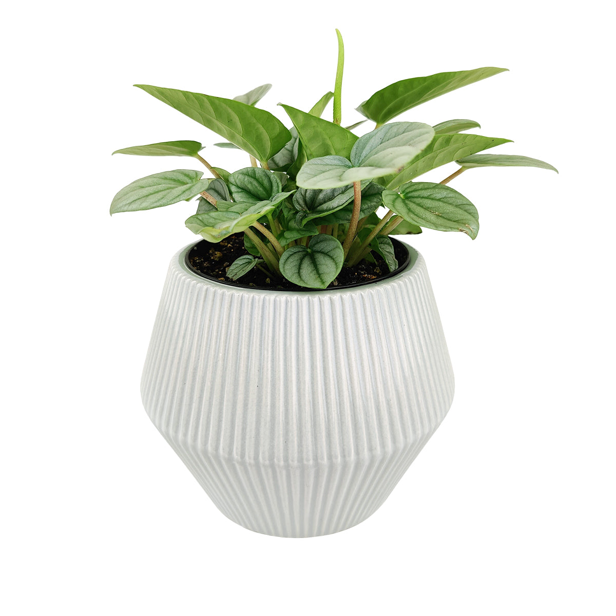 ceramic planter, 6 inch ceramic planter, geometric planter, striped ceramic planter, diamond shaped planter, geometric table top planter, unique shape planter