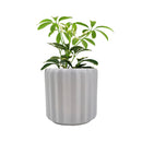 5&quot; Vertical Ridge Pattern Round Ceramic Flower Pot for Home Office Decor, 5&quot; White Vertical Stripes Ceramic Cylinder Houseplant Pot, Decorative Ceramic Flower Pot 5 inch Size, 5 inch Glazed Ceramic Planter with Drainage Hole for Succulent and Houseplant