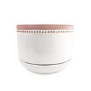 6 inch White Ceramic Planter with Natural Terracotta Rim, 6 inch Rose Ceramic Pot with Saucer, Whitewash Ceramic 6 inch Pot with Drainage Hole, Coral Ceramic Planter for Houseplants, Large Ceramic White Bowl Planter for Houseplants or Succulent Arrangement, Ceramic Planters Pot with Drainage Hole and Saucers 6 Inch