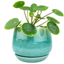 6 inch blue ceramic plant pot for sale, Succulent pot gift ideas, Decorative pot for houseplants