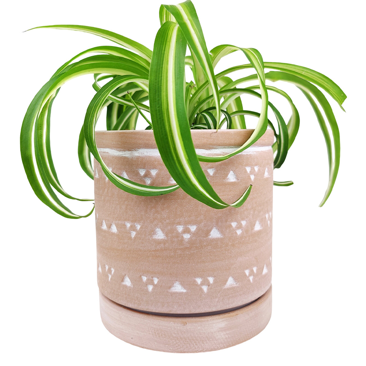 6&quot; Decorative Triangle Geometric Ceramic Planter with Attached Saucer, 6&quot; Triangle Pattern Flower Pot with Drainage Hole, 6 inch Cylindrical Terracotta Ceramic Pot with Coaster for Succulent and Houseplant, Ceramic Pottery Succulent Planter for Sale, 6 inch Round Terracotta Succulent Pot with Drainage Hole &amp; Saucer