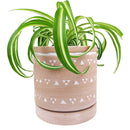 Ceramic Pot with Coaster for Succulent and Houseplant, Ceramic Pottery Succulent Planter for Sale, 6&quot; Decorative Triangle Geometric Ceramic Planter with Attached Saucer, 6&quot; Triangle Pattern Flower Pot with Drainage Hole