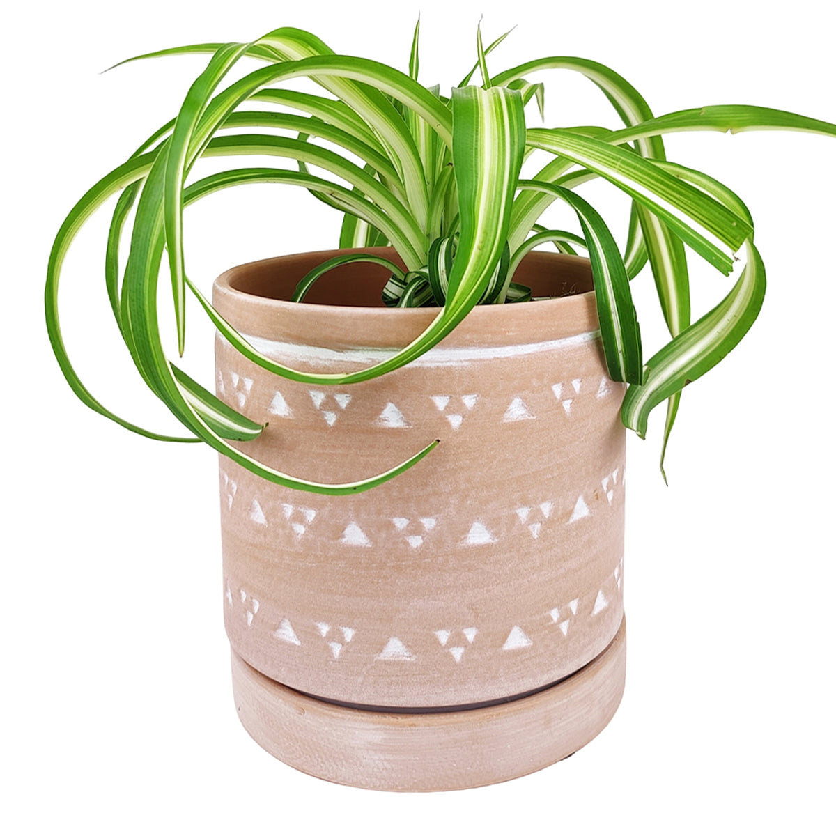 geometric pot plant 6 inch Cylinder Terracotta Clay Geometric Triangle Pattern Planter