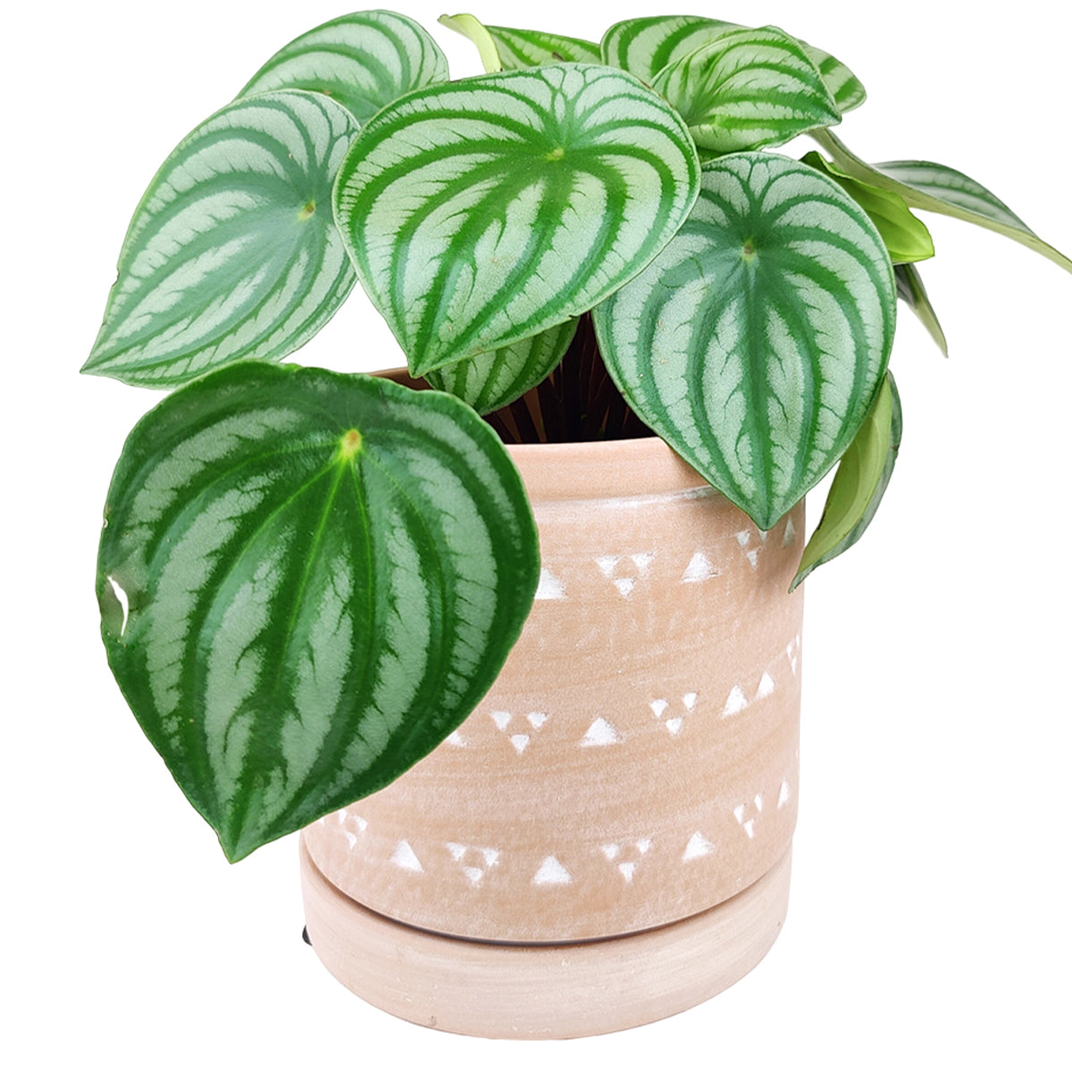 6&quot; Decorative Triangle Geometric Ceramic Planter with Attached Saucer, 6&quot; Triangle Pattern Flower Pot with Drainage Hole, 6 inch Cylindrical Terracotta Ceramic Pot with Coaster for Succulent and Houseplant