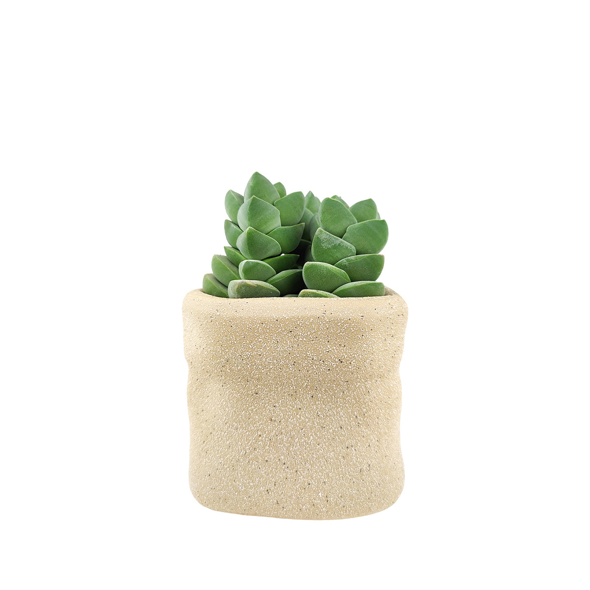 plant pot beige 4in Beige Satchel Ceramic Planter, Paper Bag Shaped Plant Pots for Home Decor