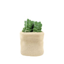 4&quot; Ceramic Kraft Paper Bag Houseplant Pot for sale, Beige Ceramic Paper Bag Planter for Home Decor Ideas, 4-inch Decorative Paper Bag Ceramic Pot for Succulent and Houseplant
