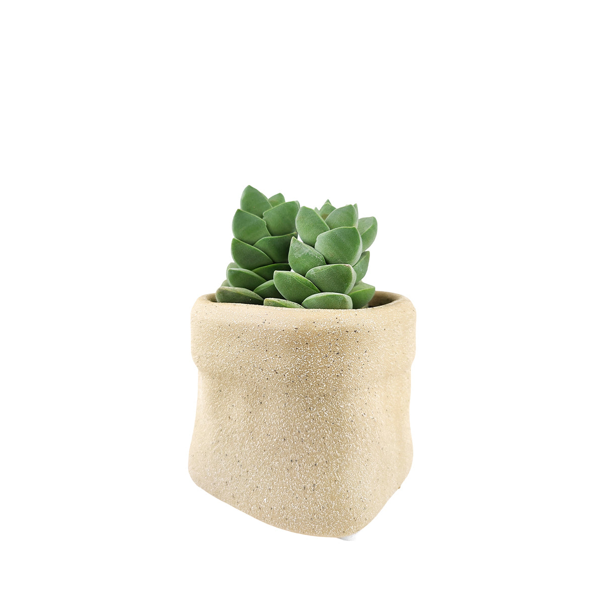 4 inch ceramic plant pots 4in Beige Satchel Ceramic Planter, Paper Bag Shaped Plant Pots for Home Decor