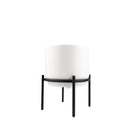 4 inch White Ceramic Planter with Stand for Succulent &amp; Houseplant, White Planter with Stand for Sale, Buy 4 inch White Ceramic Pot with Black Metal Stand for Indoor Corner and Outdoor Plants, small plant pot for home and office