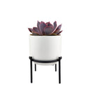 4 inch White Ceramic Planter with Stand for Succulent &amp; Houseplant, White Planter with Stand for Sale, Buy 4 inch White Ceramic Pot with Black Metal Stand for Indoor Corner and Outdoor Plants, small plant pot for home and office
