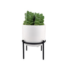 4 inch White Ceramic Planter with Stand for Succulent &amp; Houseplant, White Planter with Stand for Sale, Buy 4 inch White Ceramic Pot with Black Metal Stand for Indoor Corner and Outdoor Plants, small plant pot for home and office