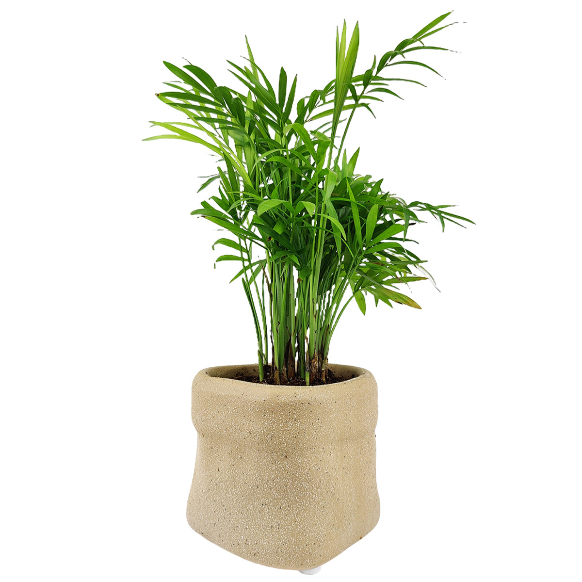 small plant pots for sale 4in Beige Satchel Ceramic Planter, Paper Bag Shaped Plant Pots for Home Decor