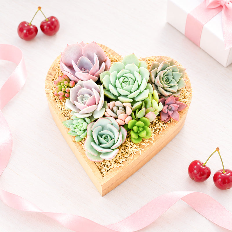 Love & Romance