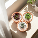 Top Dressing - White Deco Pebbles