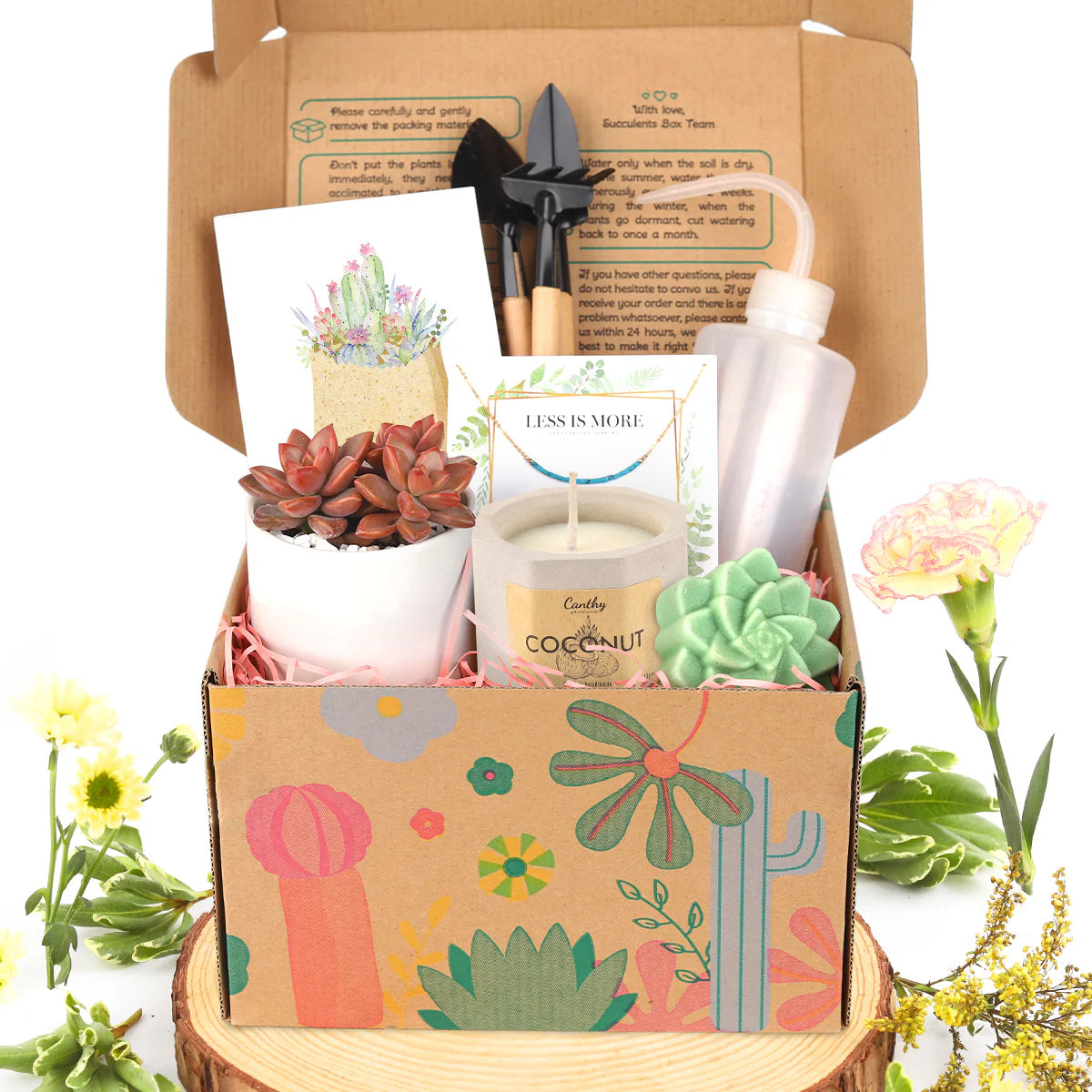 Succulent wedding favors ideas, Wedding succulent planters favors for guest in bulk,  gift box for men, big gift box, gift box for women, small gift box, surprise gift box 2025