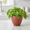 eco friendly pots, sustainable planters, recycled material pots, black terracotta pots, lightweight planters, durable plant pots, 4 inch eco pot, 6 inch eco pot, indoor outdoor planters, eco pots, unique design planters, recycled plastic