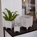 3 inch Square Speckled Footed Pot