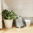 tin bucket for plant