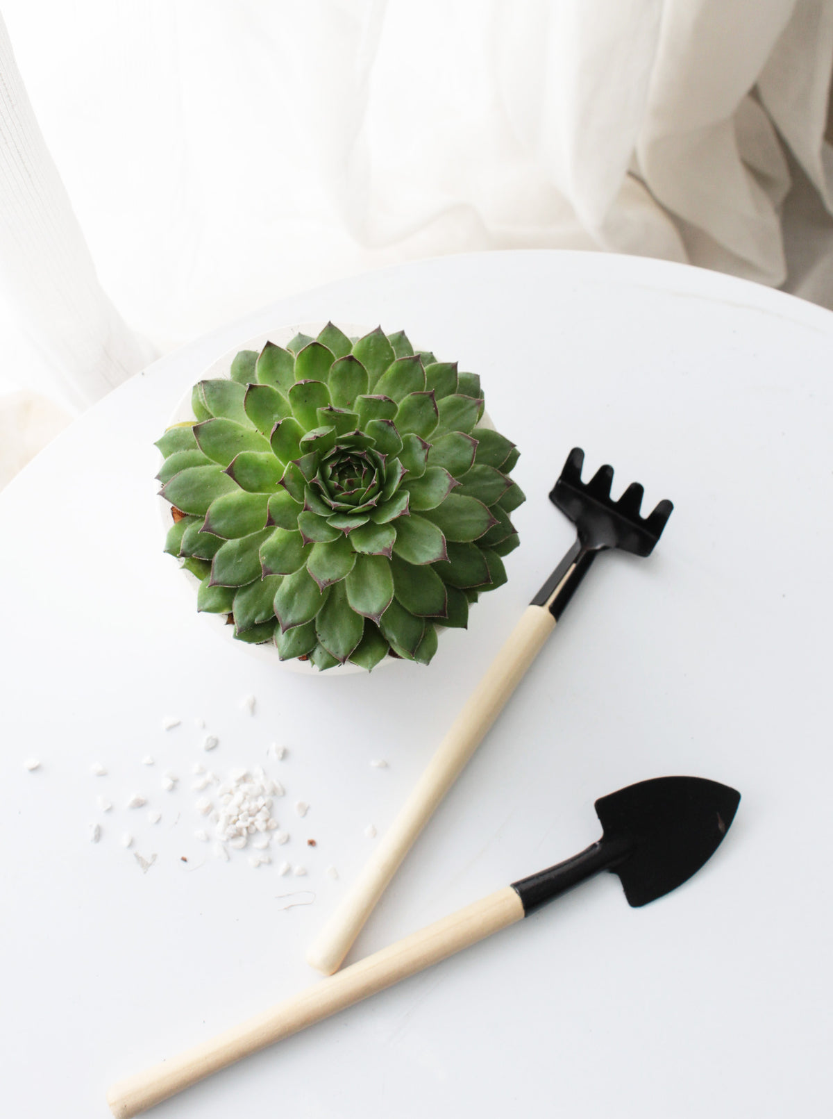 mini gardening tools, garden handle tool set