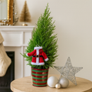 Scented holiday plant gift, Buy mini Santa Christmas tree online, Lemon Cypress Cone Mini Christmas Tree with Mr. Claus decoration