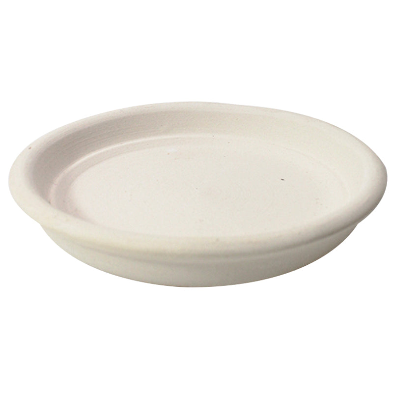 succulent saucers 4" White Clay Saucer | Succulents Care
