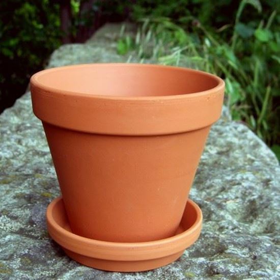 plant pot saucers large 2.5'' Terracotta Saucer