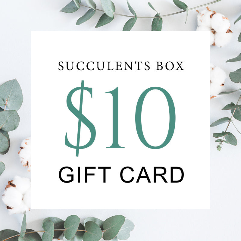 Succulent Gift Card