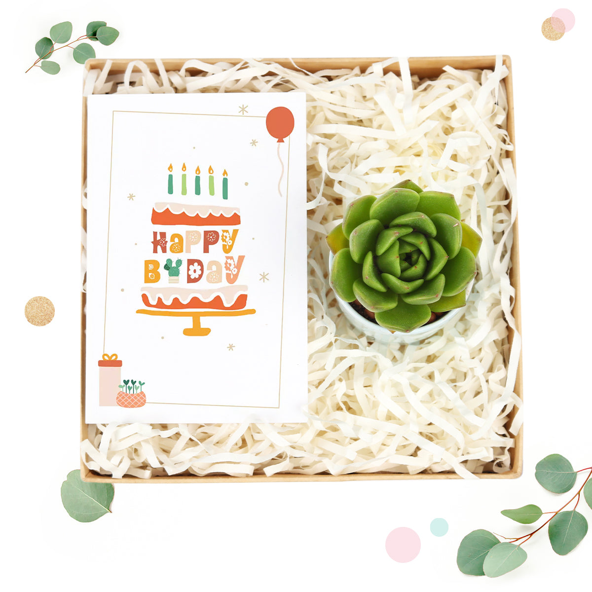 birthday gift box, succulent birthday gift, succulent gift box for anniversary, gift ideas for birthday, EcoFriendly Succulent Gift Box for Employee, Corporate Gift Succulents For Sale Online 2025