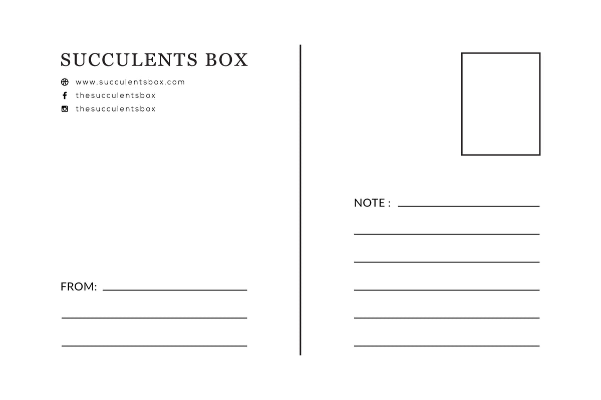 Succulent Valentine's Day Card, Valentine Cards, Valentine Card Ideas, Valentine's Greeting Card, Valentine's Day Cards Perfect for Your Sweetheart, Valentine's Day Cards for Sale, Succulent Love Card, Lovely Succulent Themed Valentine's Day Card, Succulent Gifts for Valentine's Day, Succulent Plant Gift Ideas For Valentine's Day, Best Valentine Gifts 2023, Unique DIY Valentine's Day Gifts For That Special Someone